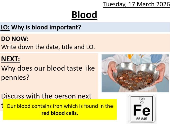 KS3 Blood - Year 7 (SEN)