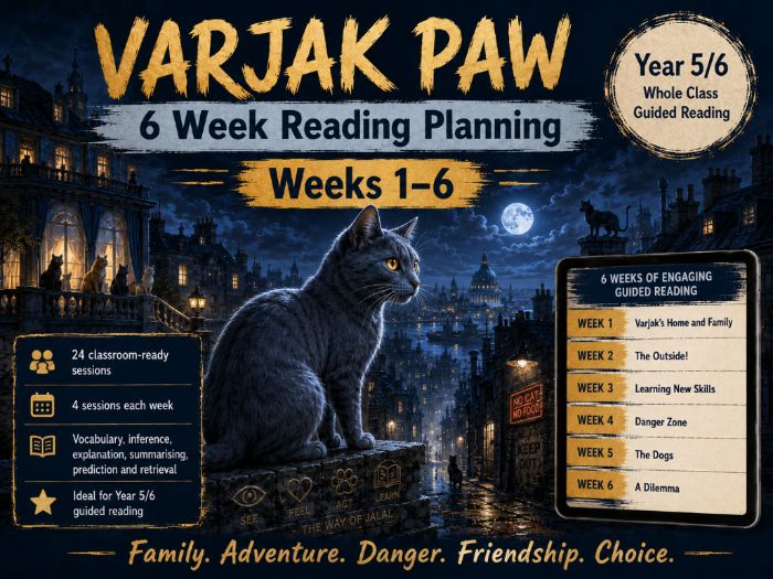 Varjak Paw - Reading Planning - KS2