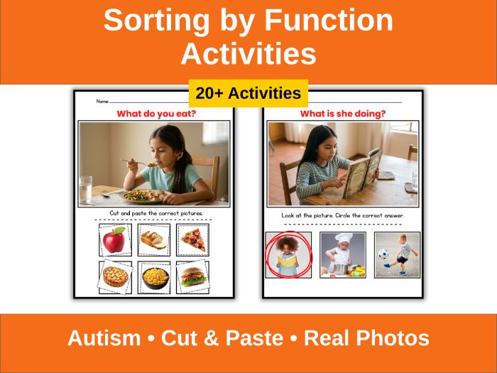 Sorting by Function Activities (Autism)