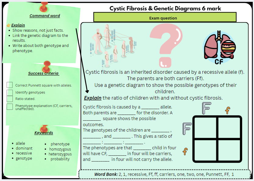 GCSE Biology Paper 2 – 6-Mark Exam Questions (7 Fully Scaffolded & Differentiated Worksheets)