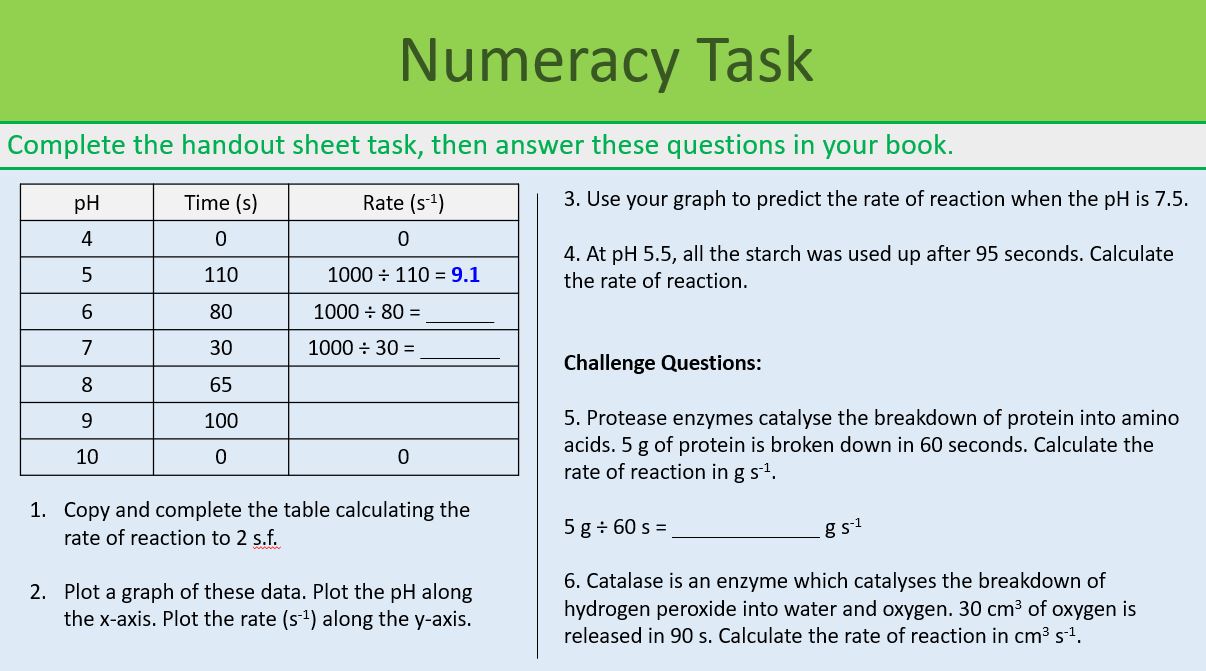 Enzymes Practical Revision GCSE Biology Teaching Resources