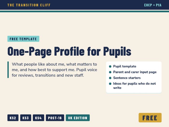 FREE One-Page Profile Template for Pupils with SEND: Pupil Voice for EHCP and Transition