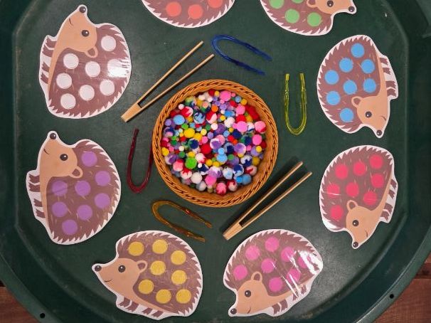 Hedgehog Fine Motor Colour Matching