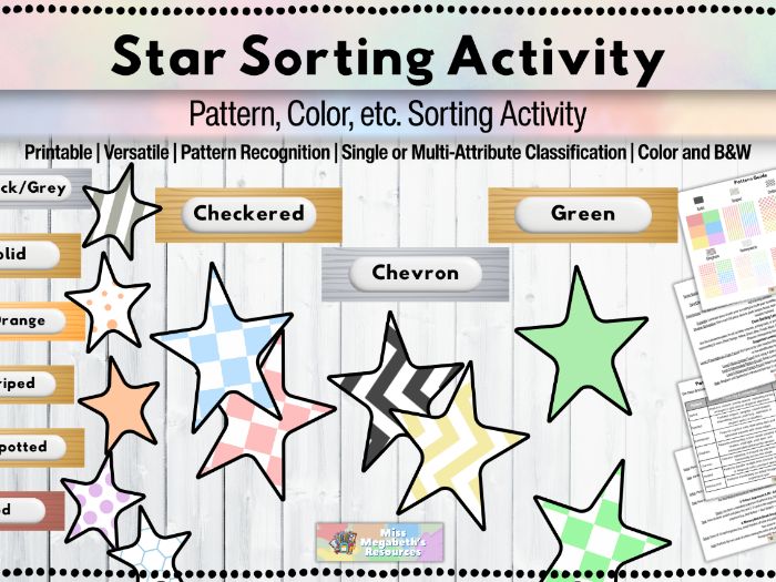 Star Pattern & Color Sorting Activity | Task Box & Center Kit for SPED / Early Childhood