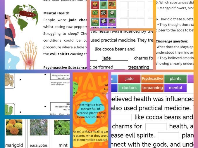 Maya Civilisation: Medicine - Lesson Pack