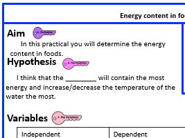 KS3 Energy content in foods Write-up