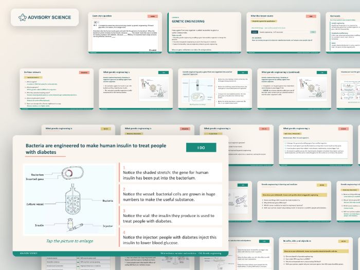 AQA GCSE Biology B6 Inheritance, Variation and Evolution | 17 Lesson Presentations and Topic Test