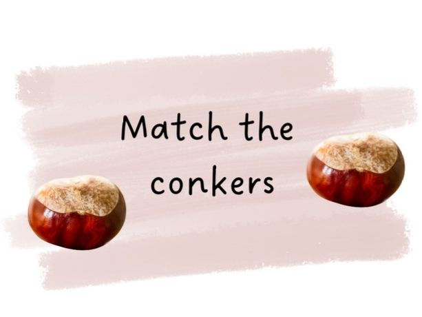 Match the Conkers