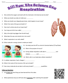 bill-nye-the-science-guy-respiration-movie-guide-teaching-resources