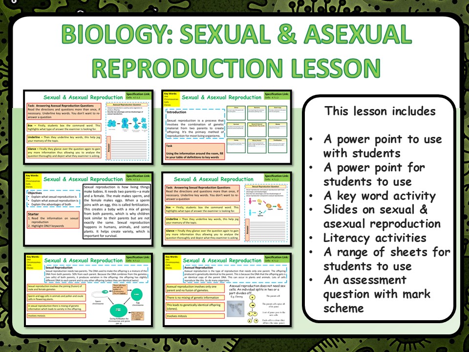 KS4 GCSE Science Sexual & Asexual Reproduction Lesson