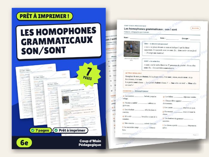 French Homophones son / sont Worksheet Grade 6 | Les homophones son / sont