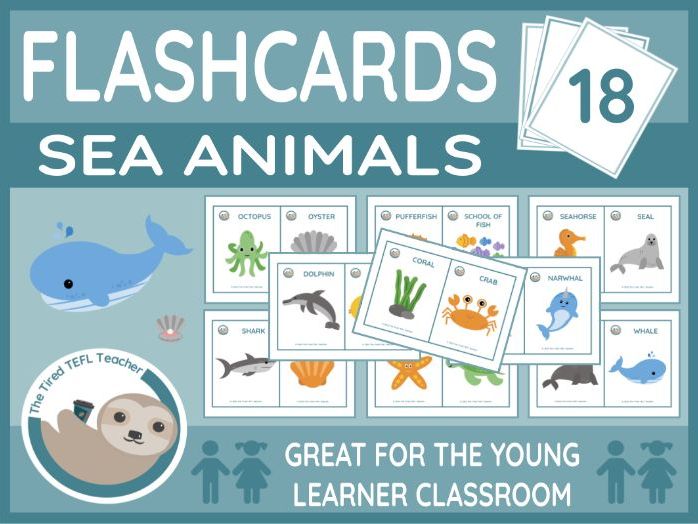 ESL Sea Animals Flashcards