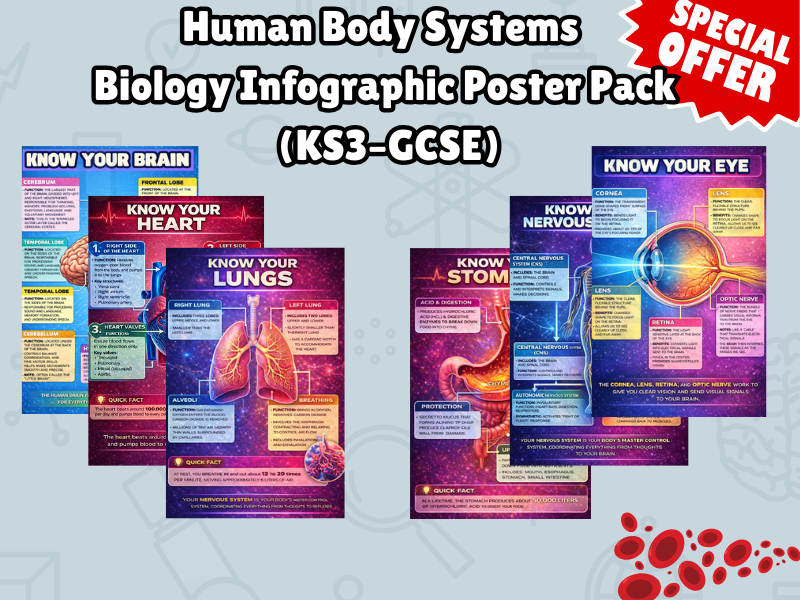 Human Body Systems – Biology Infographic Poster Pack (KS3–GCSE)