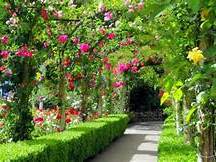 KS3 Descriptive Writing: Describe a garden