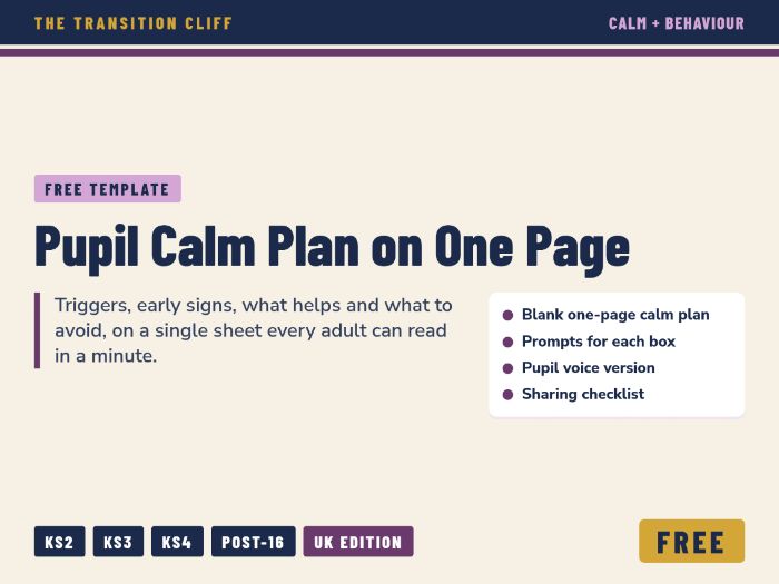 FREE Pupil Calm Plan: One-Page Behaviour Support Template for SEND