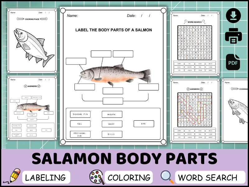 Salmon Body Parts Worksheet, Labeling Diagram, Coloring Page, Word Search Printable (PDF)