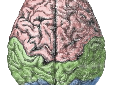 Edexcel GCSE Psychology Learning Journey