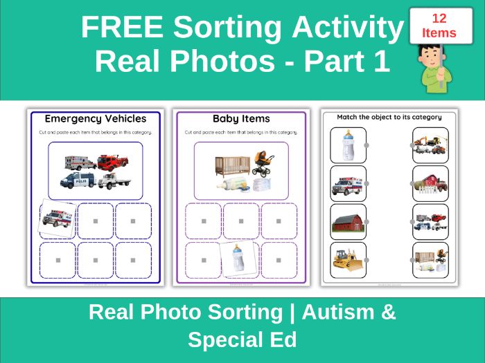 Real Photo Sorting Categories – Autism (FREE)