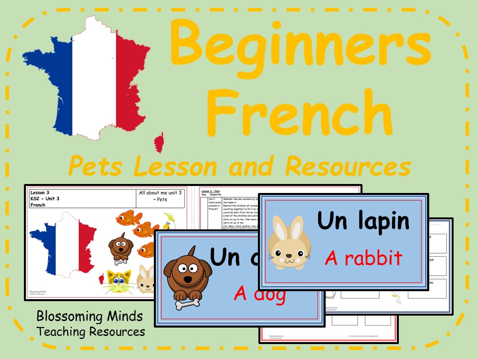 French lesson and resources - KS2 - Pets