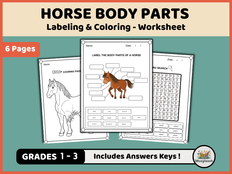 Horse Body Parts Activity Pack | Labeling, Coloring & Word Search (K-2 Farm & Pet Vocabulary PDF)