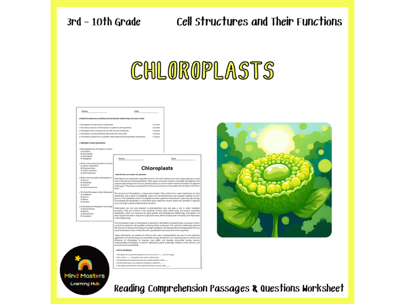 Chloroplasts Reading Comprehension Passages & Questions Worksheets ...