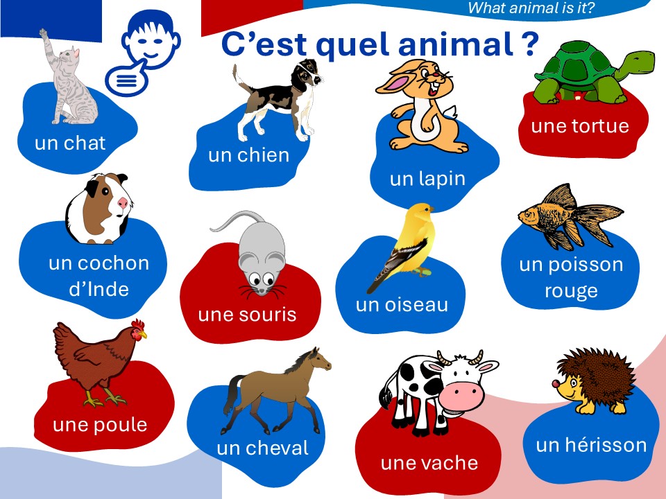 PETS and FARM ANIMALS _ with native voice over