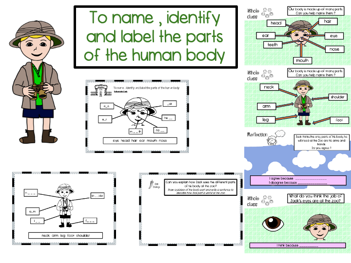 Year 1 To name, identify and label the parts of the human body.