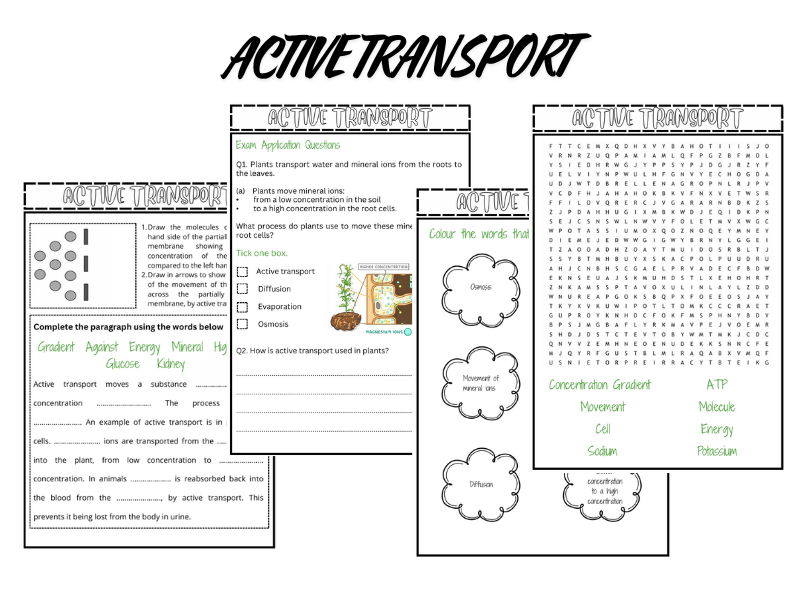Active Transport SEND/LA Worksheets