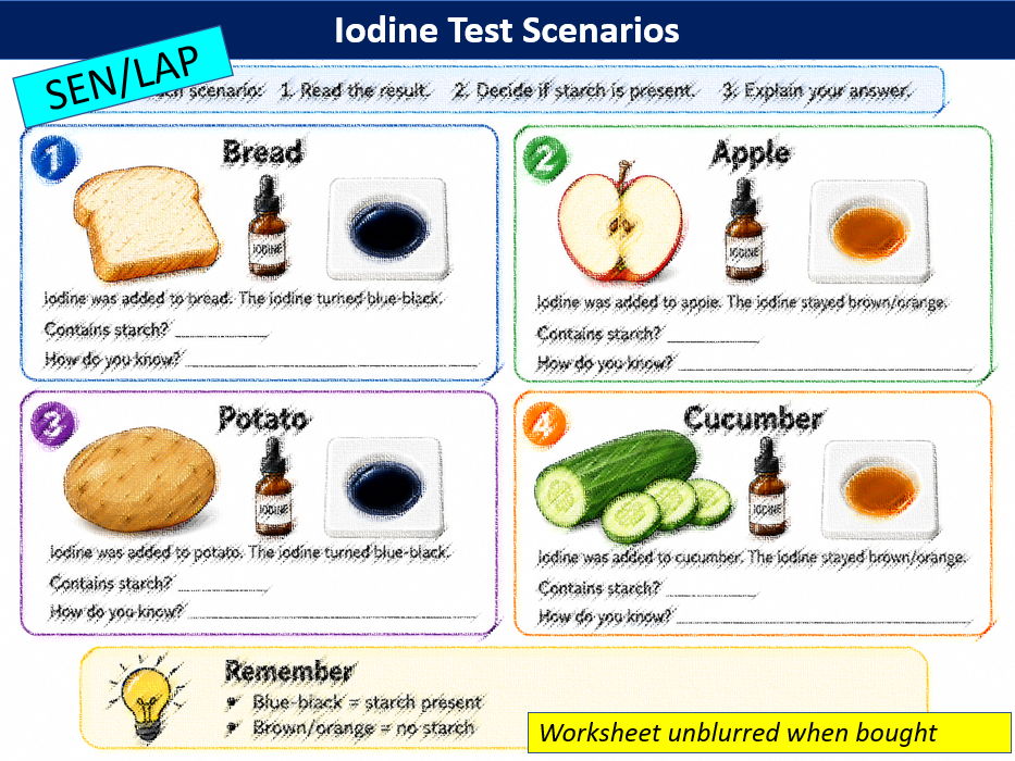 Testing for Starch