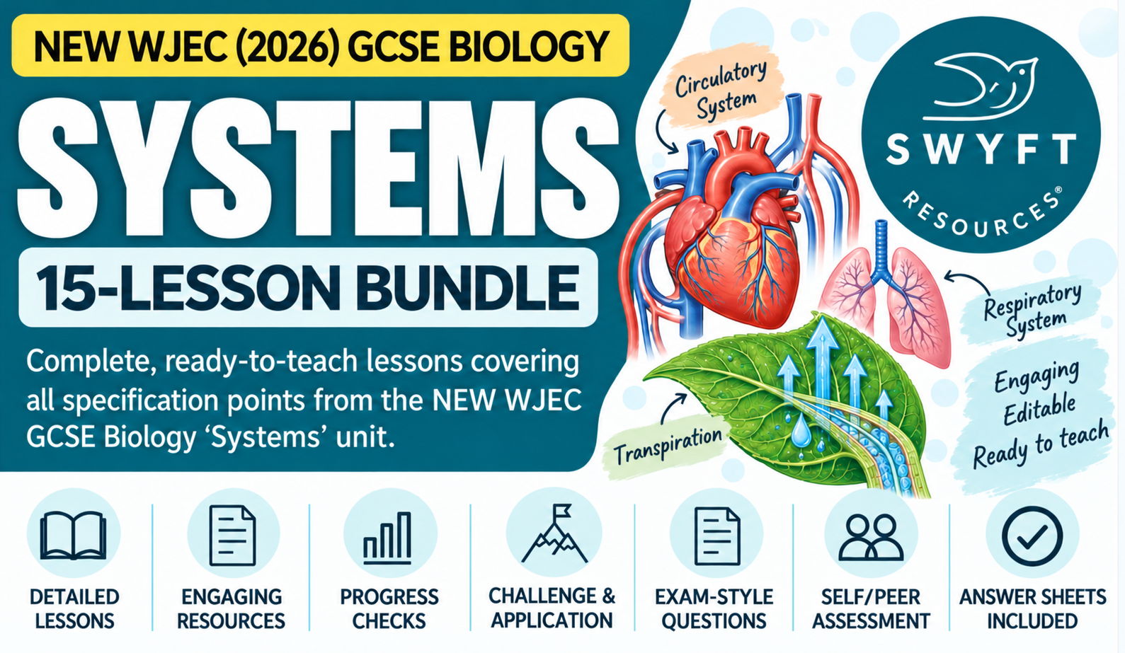 NEW WJEC (2026) GCSE Science - 'Systems' Lesson Bundle