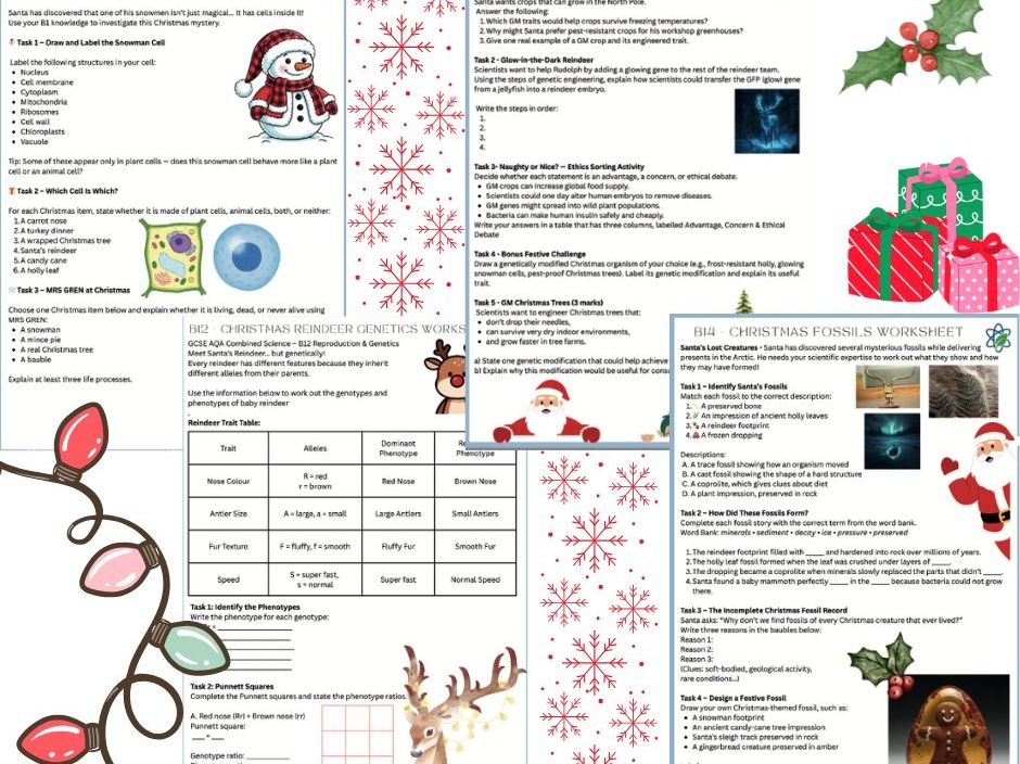 B1/12/13/14/ Christmas Worksheet Bundles & Answers/AQA/GCSE/Combined Science