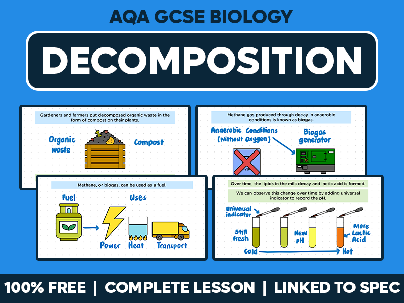 GCSE AQA Biology Complete Lesson - Decomposition