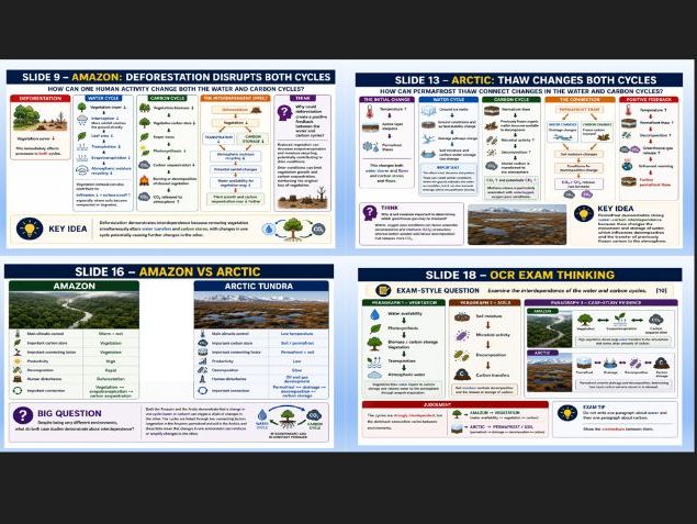 OCR A Level Geography Earths life support systems: Interdependence of the carbon and water cycle
