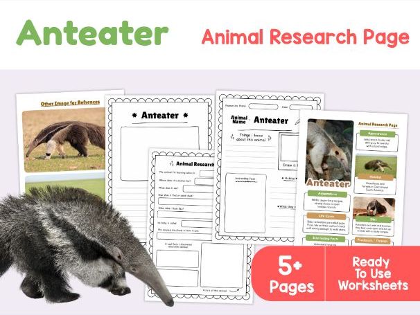 Anteater Research Worksheets | South American Animals