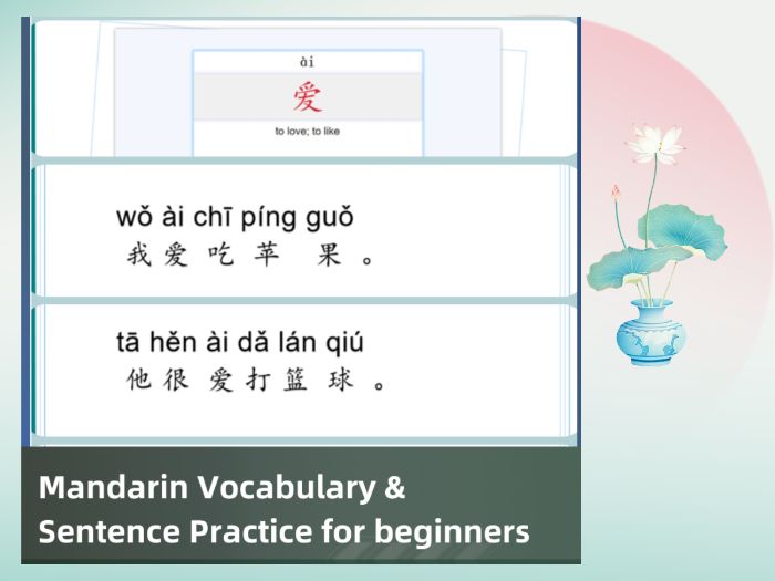Mandarin Chinese Basic Vocabulary and Sentence Practice