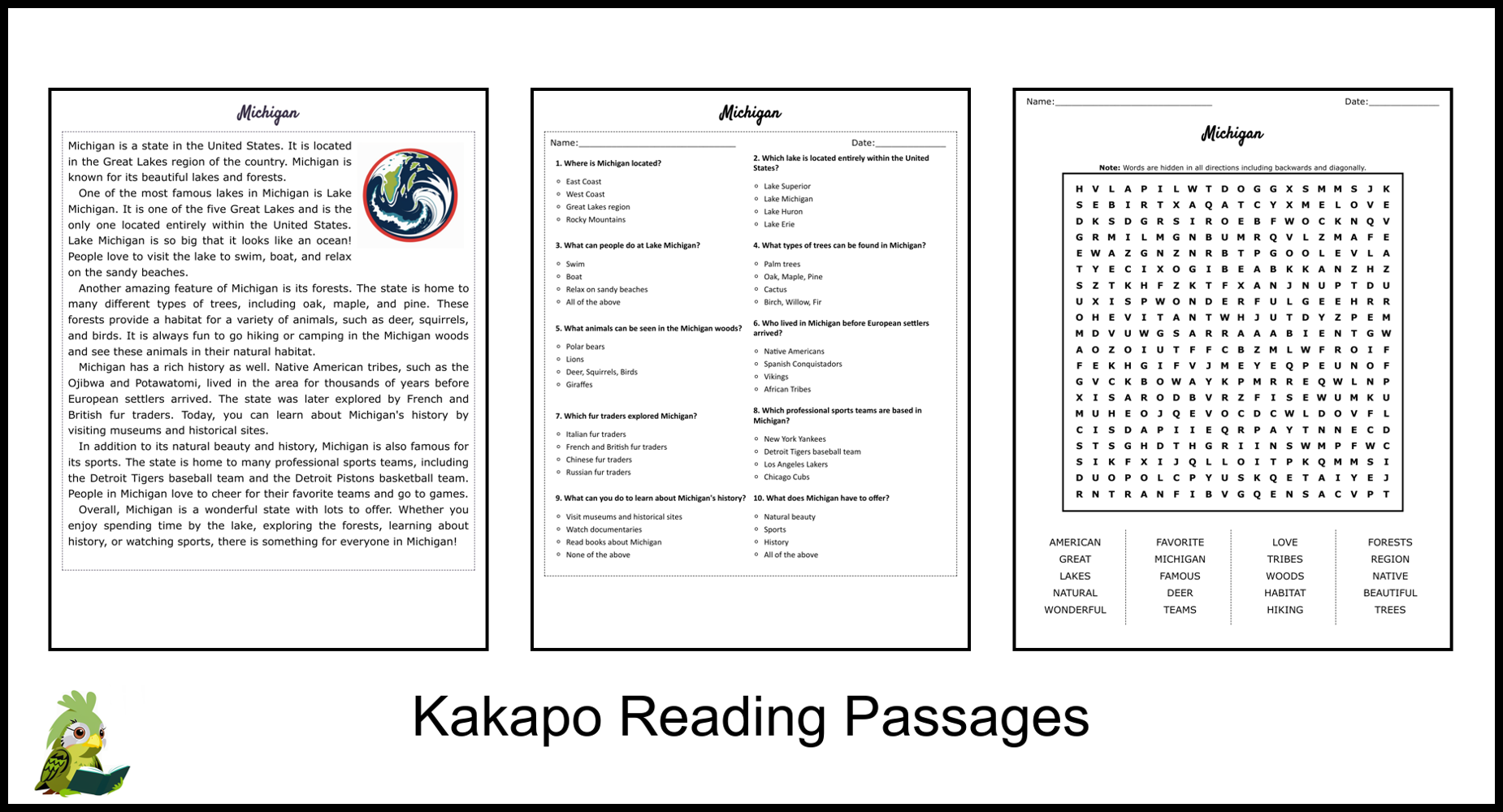 Michigan Reading Comprehension and Word Search | Teaching Resources