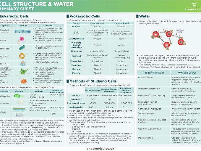Ocr a level geology textbook pdf picture