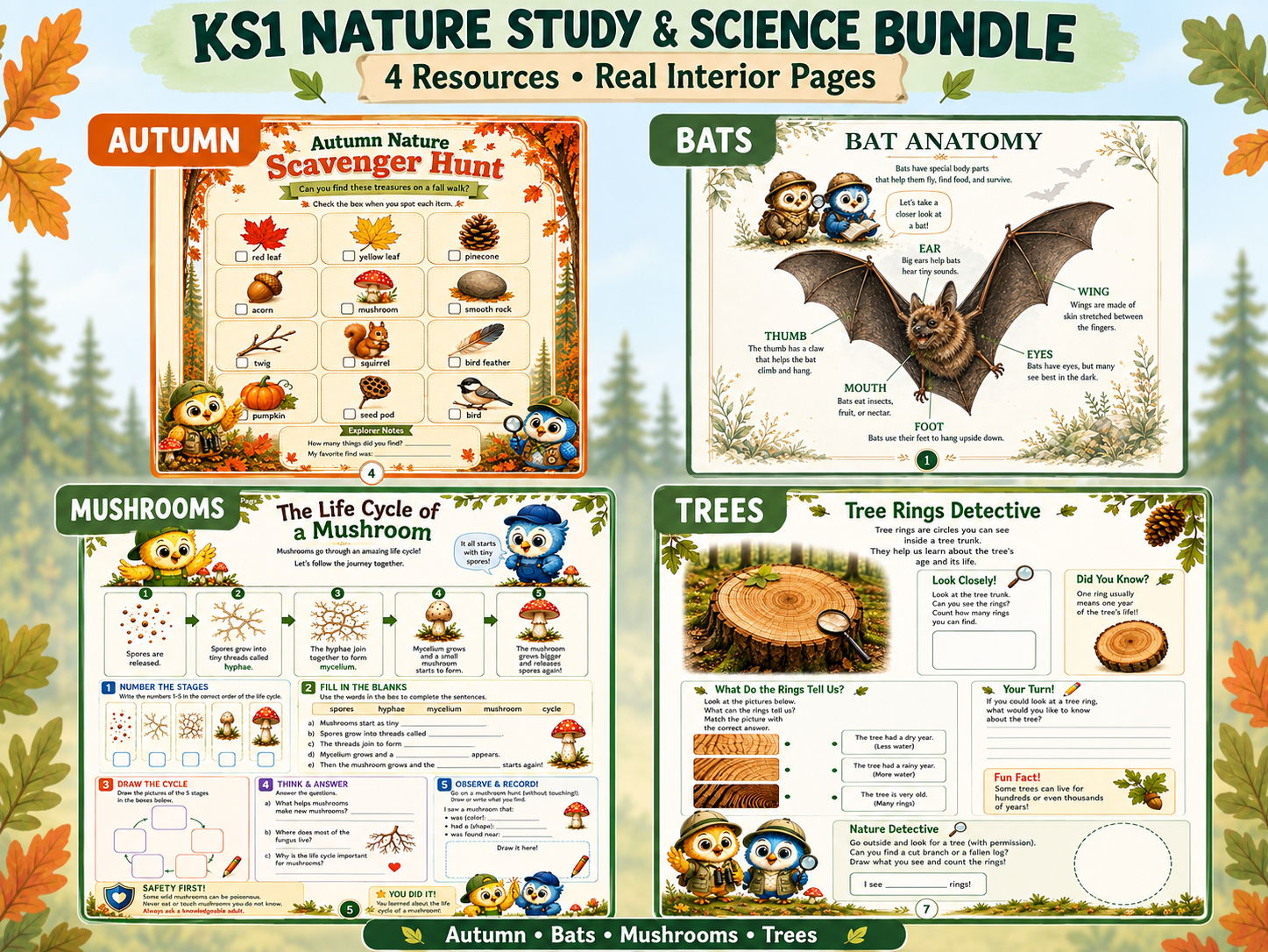 KS1 Nature Study & Science Bundle | Autumn, Bats, Mushrooms & Trees