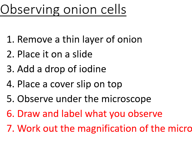 AQA GCSE Biology - Required practical 1 Observing cells