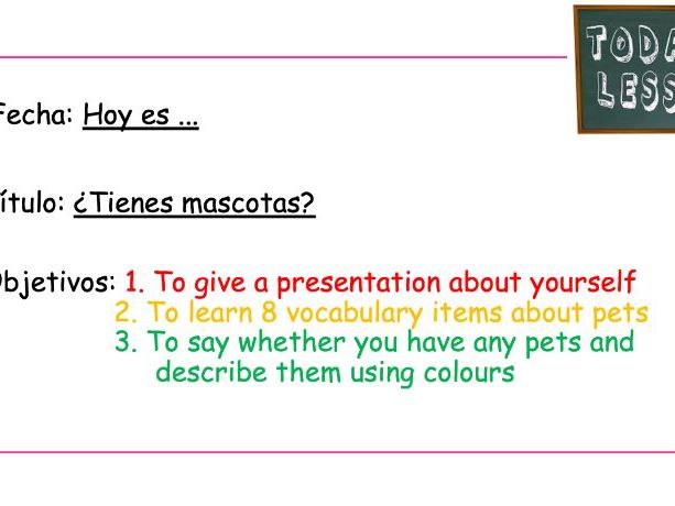 KS3 Spanish Viva 1 – Mi vida L8: ¿Tienes mascotas? (PPT)