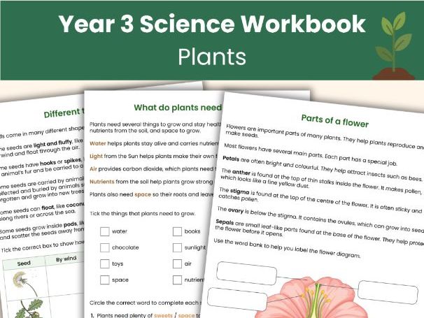 Year 3 Science Workbook | KS2 Plants | Printable Worksheets