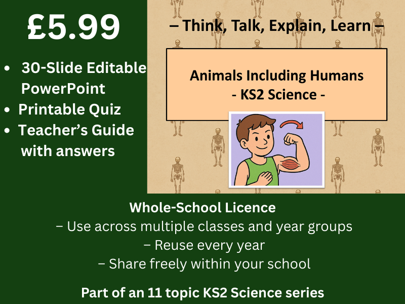 Animals Including Humans (KS2 Science)