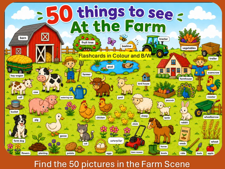 50 things to see At the Farm EYFS / KS1