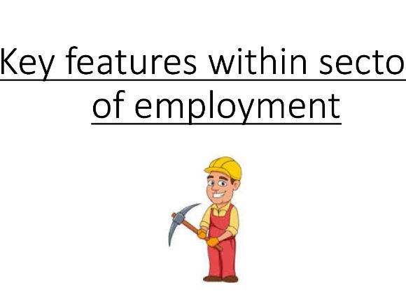 Key features: Sectors of Employment