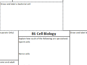 AQA GCSE Biology Revision Homework Mind Map