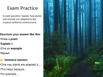AQA GCSE Geography Tropical Rainforests