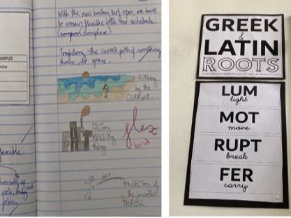 Weekly Greek & Latin Roots Vocabulary Activities