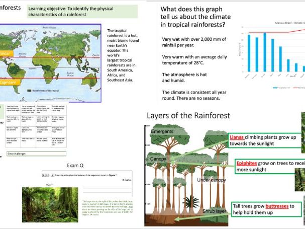 Weather and Climate GCSE Tropical Rainforests L1