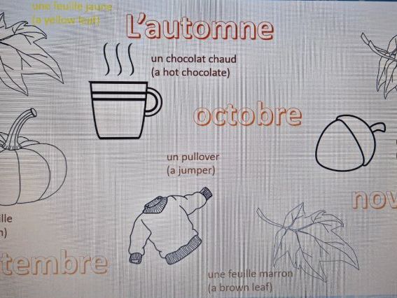 L'automne - Autumn Primary Colouring Sheet