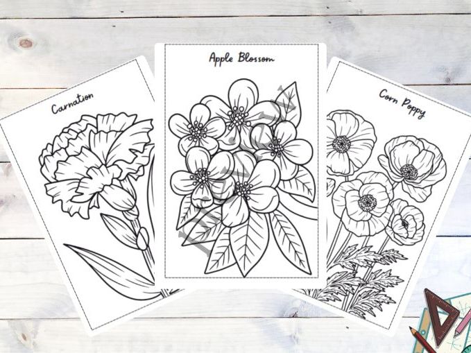 Flower Coloring Book